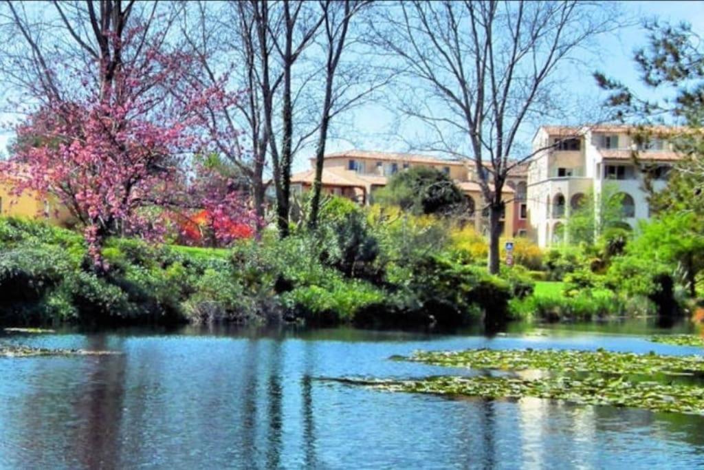 Duplex T3 Avec Jardin, Bord De Mer Et Parking Six-Fours-les-Plages Buitenkant foto